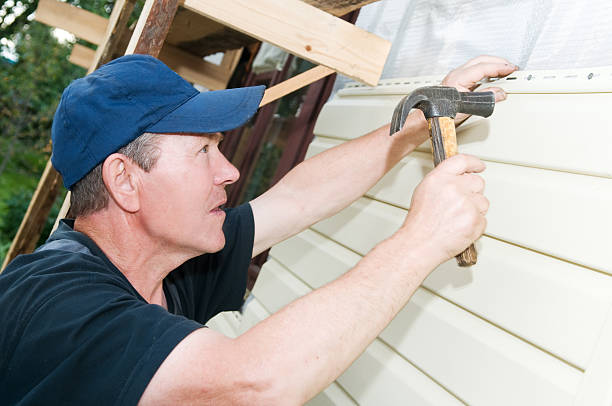 Best Custom Trim and Detailing for Siding  in Apollo Beach, FL