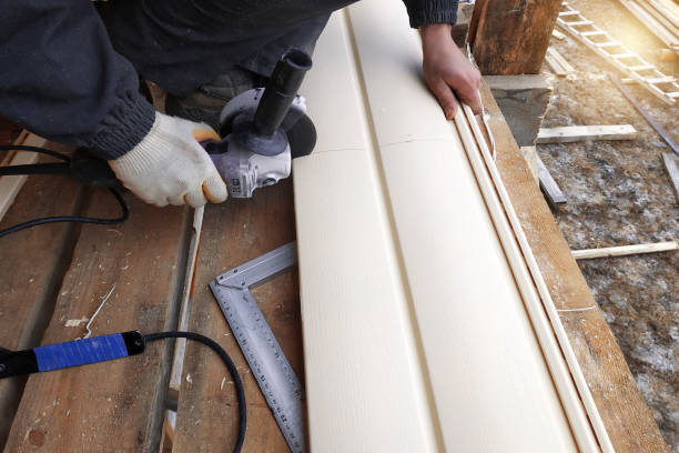 Best Wood Siding Installation  in Apollo Beach, FL